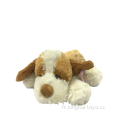 Peluche Chien Brun Et Blanc